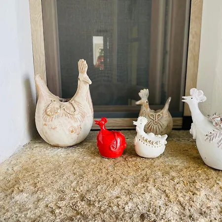 Adel Сан-Теодоро