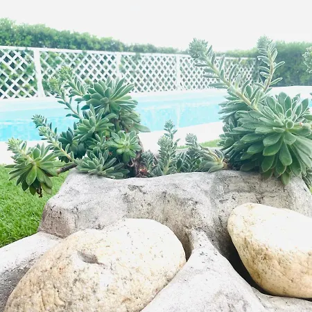 Adel San Teodoro (Sardinia)